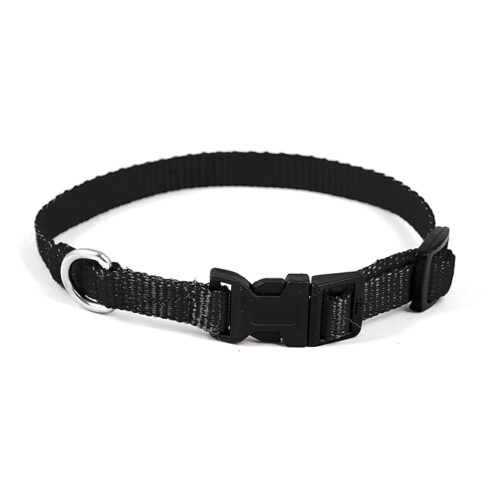 nylon dog collar