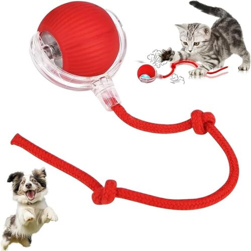 dancing ball pets