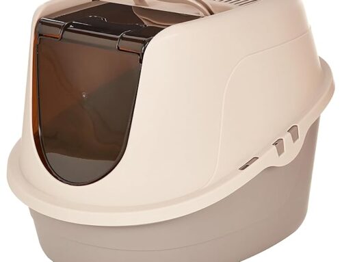 Litter Box for Cats Convenient and Necessity