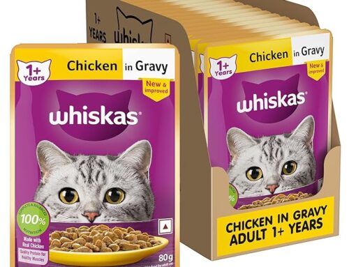 Wet Cat Food: The Complete Guide to Feline Nutrition, Health, and Well-Being