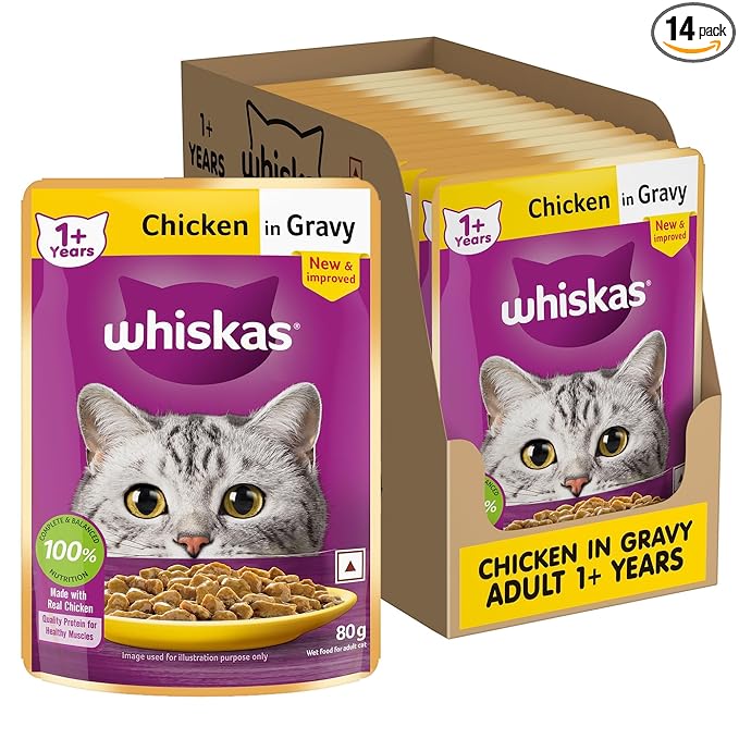 wet cat food high quality rich in nutrients and supporting overall health