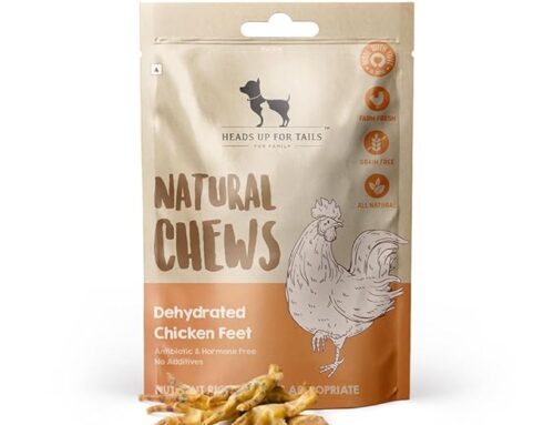 Why Chicken Feet for Dogs Are the Natural Chew You’ve Been Missing
