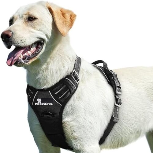 Pet harness is a secure and comfortable alternative to a collar, distributing pressure evenly across a dog’s chest and back. ,ideal for small dogs