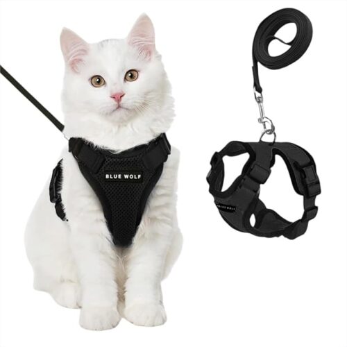 Cat harness and leash for safe outdoor walks, adjustable fit, breathable fabric, and escape-proof design for kittens and adult cats.