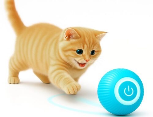 How Interactive Toys For Kittens Boost Health Fun Learning