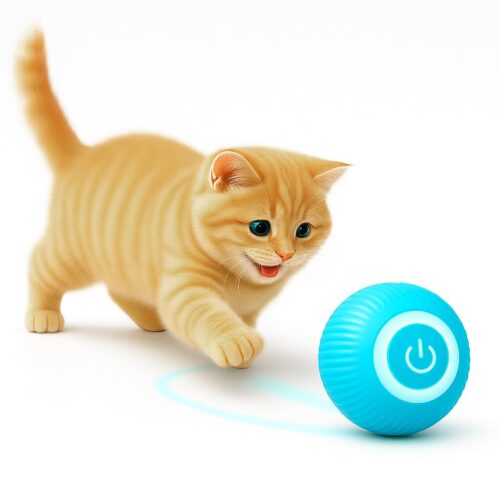 Interactive toys for kittens boosts health fun and learning for the feline