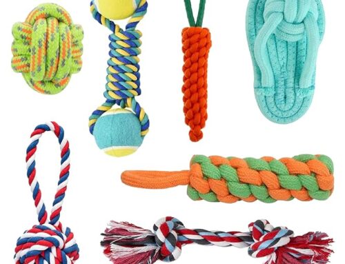 Chew Toys for Dogs That Promote Healthy Teeth and Gums