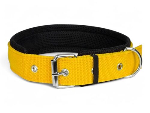 nylon dog collar