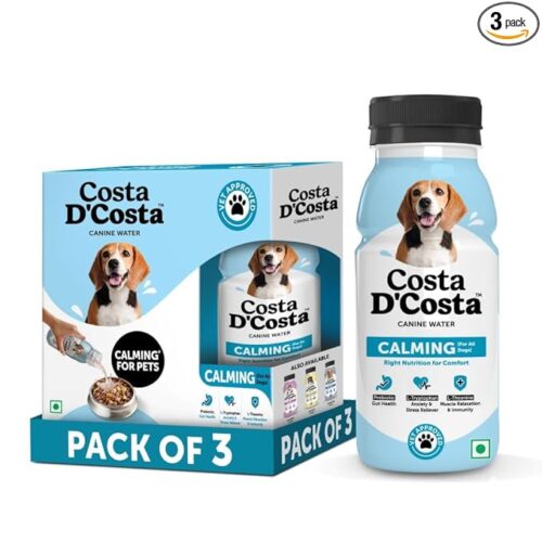 CBD for Dogs helps calm anxiety, support joint comfort, enhance mobility, and promote overall wellness, offering a safe, natural supplement