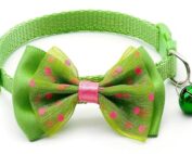 collar for cats green