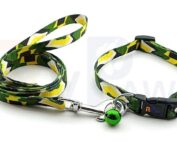 dog collar and leash (green and yellow)