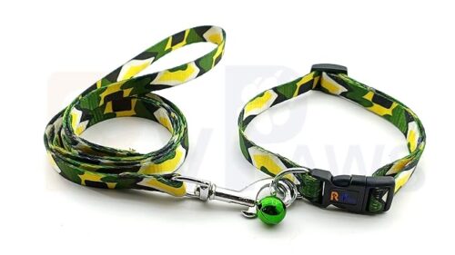 dog collar and leash (green and yellow)