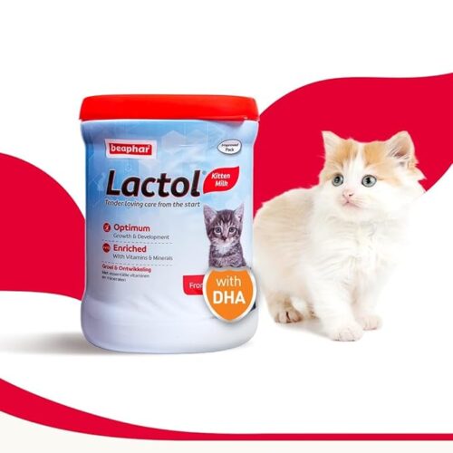 Kitten Milk Replacer provides complete, balanced nutrition for newborns and weaning kittens, an easy-to-digest formula that mimics mother’s milk.