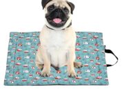 dog mat 24 inch