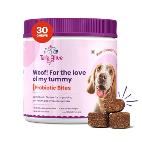 Probiotic supplement for dogs supports healthy digestion, strengthens immunity, and promotes nutrient absorption for puppies, adults, and seniors,